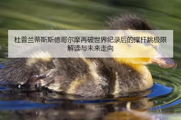 du-pu-lan-di-si-si-de-ge-er-mo-zai-po-shi-jie-ji-lu-hou-de-cheng-gan-tiao-ji-xian-jie-du-yu-wei-lai-zou-xiang-2-264.jpg