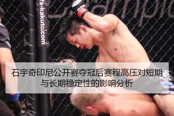 shi-yu-qi-yin-ni-gong-kai-sai-duo-guan-hou-sai-cheng-gao-ya-dui-duan-qi-yu-chang-qi-wen-ding-xing-de-ying-xiang-fen-xi-2-813.jpg