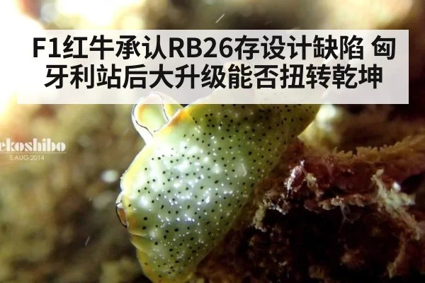 F1红牛承认RB26存设计缺陷 匈牙利站后大升级能否扭转乾坤